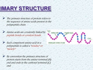 o Formed when 2 or more
polypeptides line up side by
side.
o Individual polypeptide –
beta strand.
o Each beta strand is f...