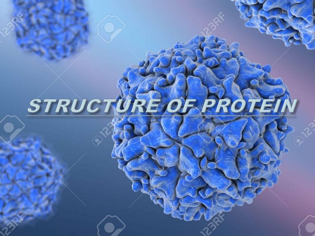 PROTEIN STRUCTURE PRESENTATION