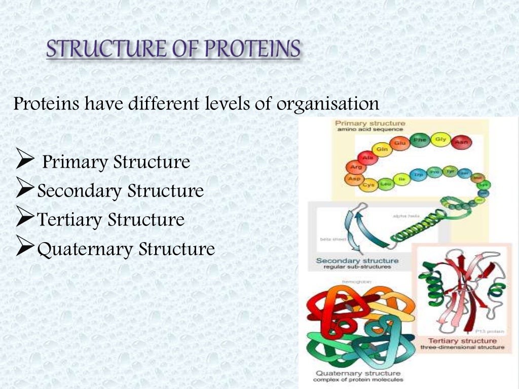 PROTEIN STRUCTURE PRESENTATION
