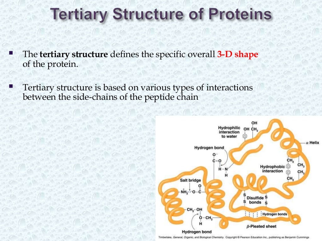PROTEIN STRUCTURE PRESENTATION