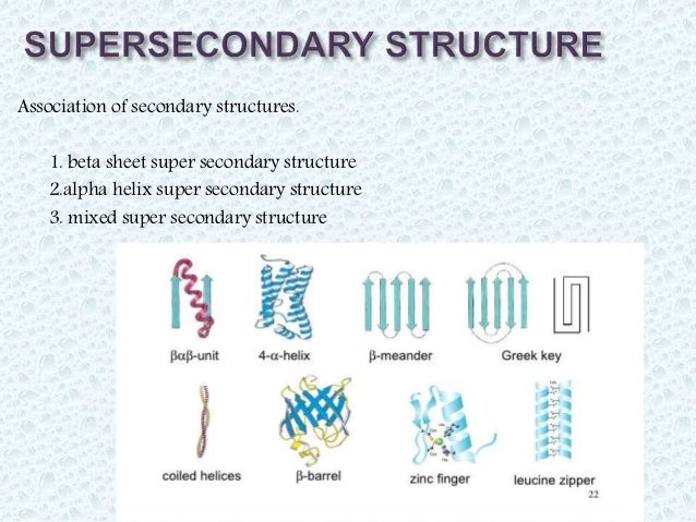 super secondary structure of protein ppt
