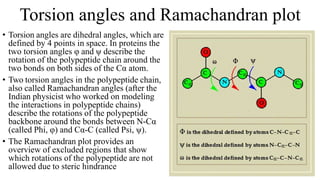 • Torsion angles are dihedral angles, which are
defined by 4 points in space. In proteins the
two torsion angles φ and ψ describe the
rotation of the polypeptide chain around the
two bonds on both sides of the Cα atom.
• Two torsion angles in the polypeptide chain,
also called Ramachandran angles (after the
Indian physicist who worked on modeling
the interactions in polypeptide chains)
describe the rotations of the polypeptide
backbone around the bonds between N-Cα
(called Phi, φ) and Cα-C (called Psi, ψ).
• The Ramachandran plot provides an
overview of excluded regions that show
which rotations of the polypeptide are not
allowed due to steric hindrance
Torsion angles and Ramachandran plot
 