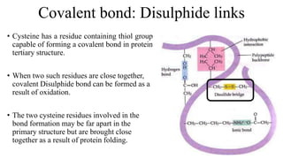 Covalent bond: Disulphide links
• Cysteine has a residue containing thiol group
capable of forming a covalent bond in protein
tertiary structure.
• When two such residues are close together,
covalent Disulphide bond can be formed as a
result of oxidation.
• The two cysteine residues involved in the
bond formation may be far apart in the
primary structure but are brought close
together as a result of protein folding.
 