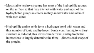 • Most stable tertiary structure has most of the hydrophilic groups
on the surface so that they interact with water and most of the
hydrophobic groups in center so they avoid water and interact
with each other.
• Hydrophilic amino acids form a hydrogen bond with water and
thus number of ionic and hydrogen bonds contributing to tertiary
structure is reduced, this leaves van der waal and hydrophobic
interactions to largely determine the three – dimensional shape of
the protein.
 