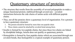 Quaternary structure of proteins
• The structure that results from the assembly of several polypeptides to make a
unique functional protein; stabilized through several non – covalent
interactions between the side chains of amino acids with different peptide
chains.
• Thus, not all the proteins show a quaternary level of organization. For a protein
to have quaternary structure:
1. The protein should be formed by more than one peptide chain
2. These chains cannot be attached by covalent bond among them.
• Insulin is formed by two peptide chains, but since these two chains are linked
by disulphide linkage, Insulin does not qualify as quaternary protein.
• Hemoglobin is formed by four peptide chains which are associated through non
covalent bonds, thus hemoglobin is a typical example of quaternary protein.
 