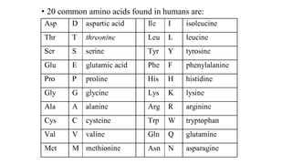 • 20 common amino acids found in humans are:
 