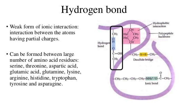 structure salt bridge tertiary Structure of proteins structure salt bridge tertiary Structure of proteins
