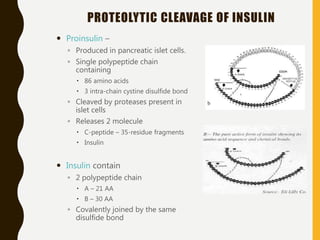 PROTEOLYTIC CLEAVAGE OF INSULIN
 Proinsulin –
◦ Produced in pancreatic islet cells.
◦ Single polypeptide chain
containing
 86 amino acids
 3 intra-chain cystine disulfide bond
◦ Cleaved by proteases present in
islet cells
◦ Releases 2 molecule
 C-peptide – 35-residue fragments
 Insulin
 Insulin contain
◦ 2 polypeptide chain
 A – 21 AA
 B – 30 AA
◦ Covalently joined by the same
disulfide bond
 