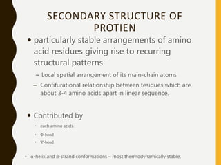 SECONDARY STRUCTURE OF
PROTIEN
 particularly stable arrangements of amino
acid residues giving rise to recurring
structural patterns
– Local spatial arrangement of its main-chain atoms
– Confifurational relationship between tesidues which are
about 3-4 amino acids apart in linear sequence.
 Contributed by
◦ each amino acids.
◦ Φ-bond
◦ Ψ-bond
◦ α-helix and β-strand conformations – most thermodynamically stable.
 