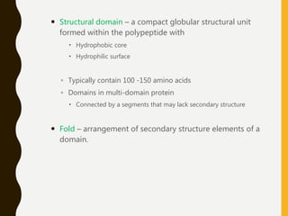  Structural domain – a compact globular structural unit
formed within the polypeptide with
 Hydrophobic core
 Hydrophilic surface
◦ Typically contain 100 -150 amino acids
◦ Domains in multi-domain protein
 Connected by a segments that may lack secondary structure
 Fold – arrangement of secondary structure elements of a
domain.
 