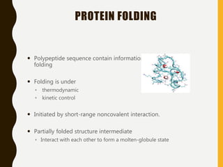 PROTEIN FOLDING
 Polypeptide sequence contain information for spontaneous
folding
 Folding is under
◦ thermodynamic
◦ kinetic control
 Initiated by short-range noncovalent interaction.
 Partially folded structure intermediate
◦ Interact with each other to form a molten-globule state
 