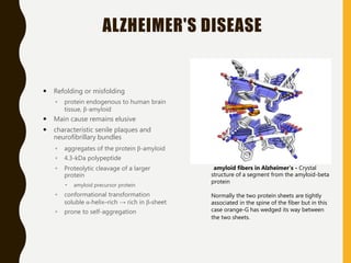 ALZHEIMER'S DISEASE
 Refolding or misfolding
◦ protein endogenous to human brain
tissue, β-amyloid
 Main cause remains elusive
 characteristic senile plaques and
neurofibrillary bundles
◦ aggregates of the protein β-amyloid
◦ 4.3-kDa polypeptide
◦ Proteolytic cleavage of a larger
protein
 amyloid precursor protein
◦ conformational transformation
soluble α-helix–rich → rich in β-sheet
◦ prone to self-aggregation
amyloid fibers in Alzheimer's - Crystal
structure of a segment from the amyloid-beta
protein
Normally the two protein sheets are tightly
associated in the spine of the fiber but in this
case orange-G has wedged its way between
the two sheets.
 