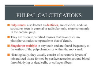 Structure and function of of Pulp-Dentin complex | PPTX