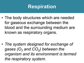 Respiration
• The body structures which are needed
for gaseous exchange between the
blood and the surrounding medium are
known as respiratory organs.
• The system designed for exchange of
gases (O2 and CO2) between the
organism and its environment is termed
the respiratory system.
 