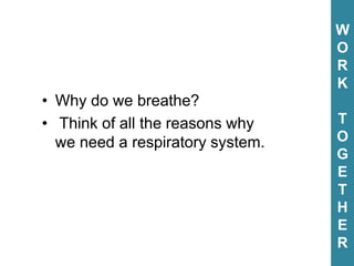 • Why do we breathe?
• Think of all the reasons why
we need a respiratory system.
W
O
R
K
T
O
G
E
T
H
E
R
W
O
R
K
T
O
G
E
T
H
E
R
 