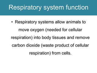 Respiratory system function
• Respiratory systems allow animals to
move oxygen (needed for cellular
respiration) into body tissues and remove
carbon dioxide (waste product of cellular
respiration) from cells.
 