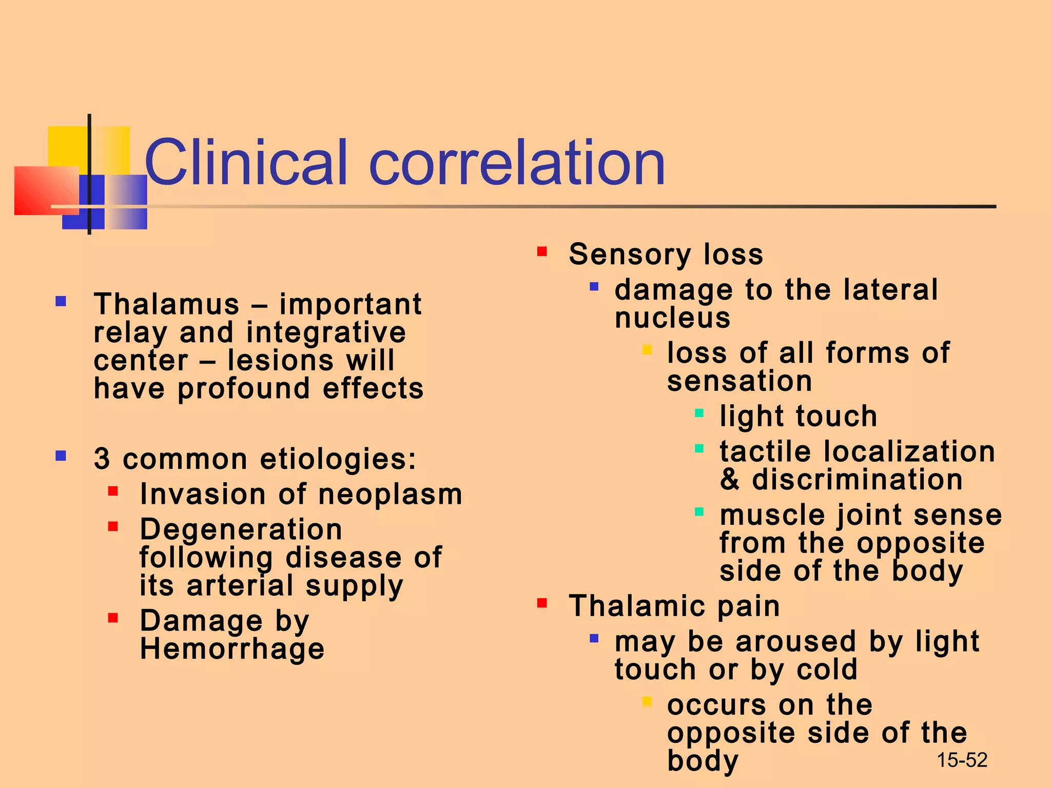 15-52
Clinical correlation
 Sensory loss

damage to the lateral
nucleus
 loss of all forms of
sensation

light touch

tactile localization
& discrimination

muscle joint sense
from the opposite
side of the body
 Thalamic pain

may be aroused by light
touch or by cold
 occurs on the
opposite side of the
body
 Thalamus – important
relay and integrative
center – lesions will
have profound effects
 3 common etiologies:
 Invasion of neoplasm
 Degeneration
following disease of
its arterial supply
 Damage by
Hemorrhage
 