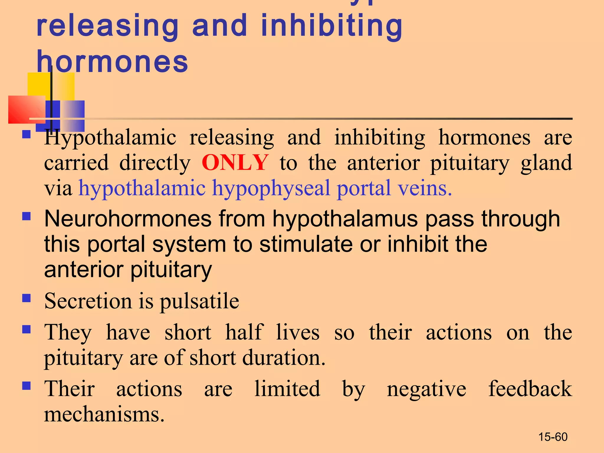 15-60
releasing and inhibiting
hormones
 Hypothalamic releasing and inhibiting hormones are
carried directly ONLY to the anterior pituitary gland
via hypothalamic hypophyseal portal veins.
 Neurohormones from hypothalamus pass through
this portal system to stimulate or inhibit the
anterior pituitary
 Secretion is pulsatile
 They have short half lives so their actions on the
pituitary are of short duration.
 Their actions are limited by negative feedback
mechanisms.
 