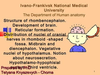 1
Ivano-Frankivsk National Medical
University
The Department of Human anatomy
Structure of rhombencephalon.
Development of brain.
Reticular formation.
Distribution of nuclei of cranial
nerves in rhomboid -shaped
fossa. Midbrain and
diencephalon. Vegetative
nuclei of hypothalamus. Notion
about neurosecretion.
Hypothalamo-hypophisial
system. Third ventricle.Prepared by PhDPrepared by PhD
Tetyana Knyazevych - ChornaTetyana Knyazevych - Chorna
 