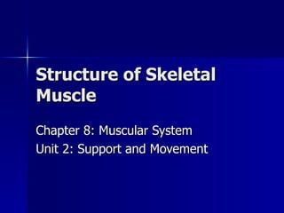Structure of Skeletal Muscle Chapter 8: Muscular System Unit 2: Support and Movement 