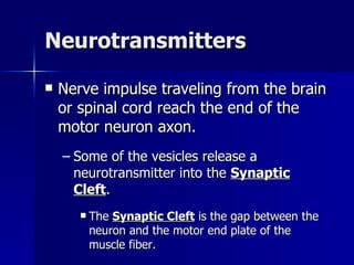 Neurotransmitters Nerve impulse traveling from the brain or spinal cord reach the end of the motor neuron axon. Some of the vesicles release a neurotransmitter into the  Synaptic Cleft . The  Synaptic Cleft  is the gap between the neuron and the motor end plate of the muscle fiber. 
