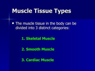 Muscle Tissue Types The muscle tissue in the body can be divided into 3 distinct categories: 1. Skeletal Muscle 2. Smooth Muscle 3. Cardiac Muscle 