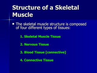 Structure of a Skeletal Muscle The skeletal muscle structure is composed of four different types of tissues: 1. Skeletal Muscle Tissue 2. Nervous Tissue 3. Blood Tissue [connective] 4. Connective Tissue 