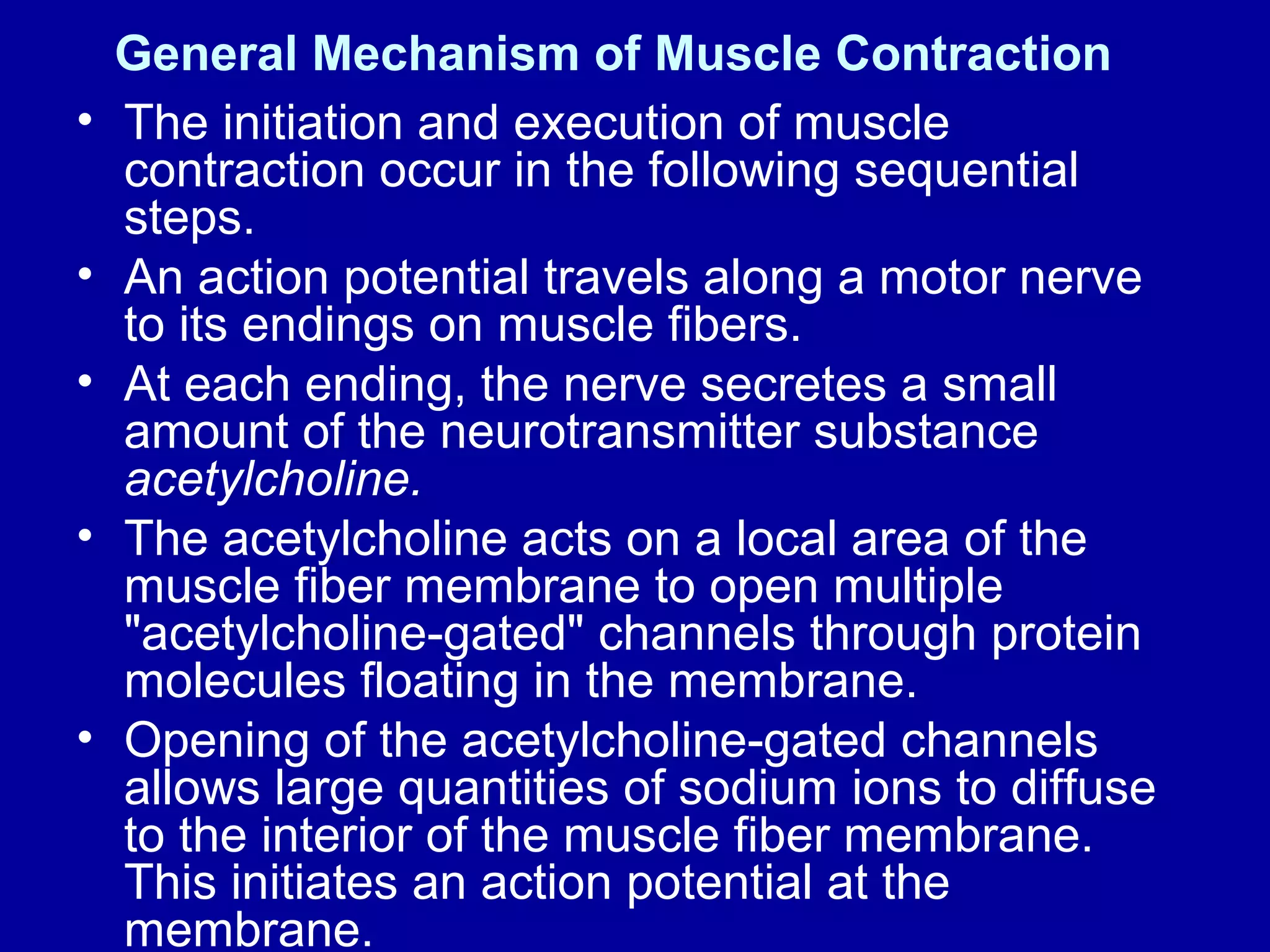 General Mechanism of Muscle Contraction
• The initiation and execution of muscle
contraction occur in the following sequential
steps.
• An action potential travels along a motor nerve
to its endings on muscle fibers.
• At each ending, the nerve secretes a small
amount of the neurotransmitter substance
acetylcholine.
• The acetylcholine acts on a local area of the
muscle fiber membrane to open multiple
"acetylcholine-gated" channels through protein
molecules floating in the membrane.
• Opening of the acetylcholine-gated channels
allows large quantities of sodium ions to diffuse
to the interior of the muscle fiber membrane.
This initiates an action potential at the
membrane.
 