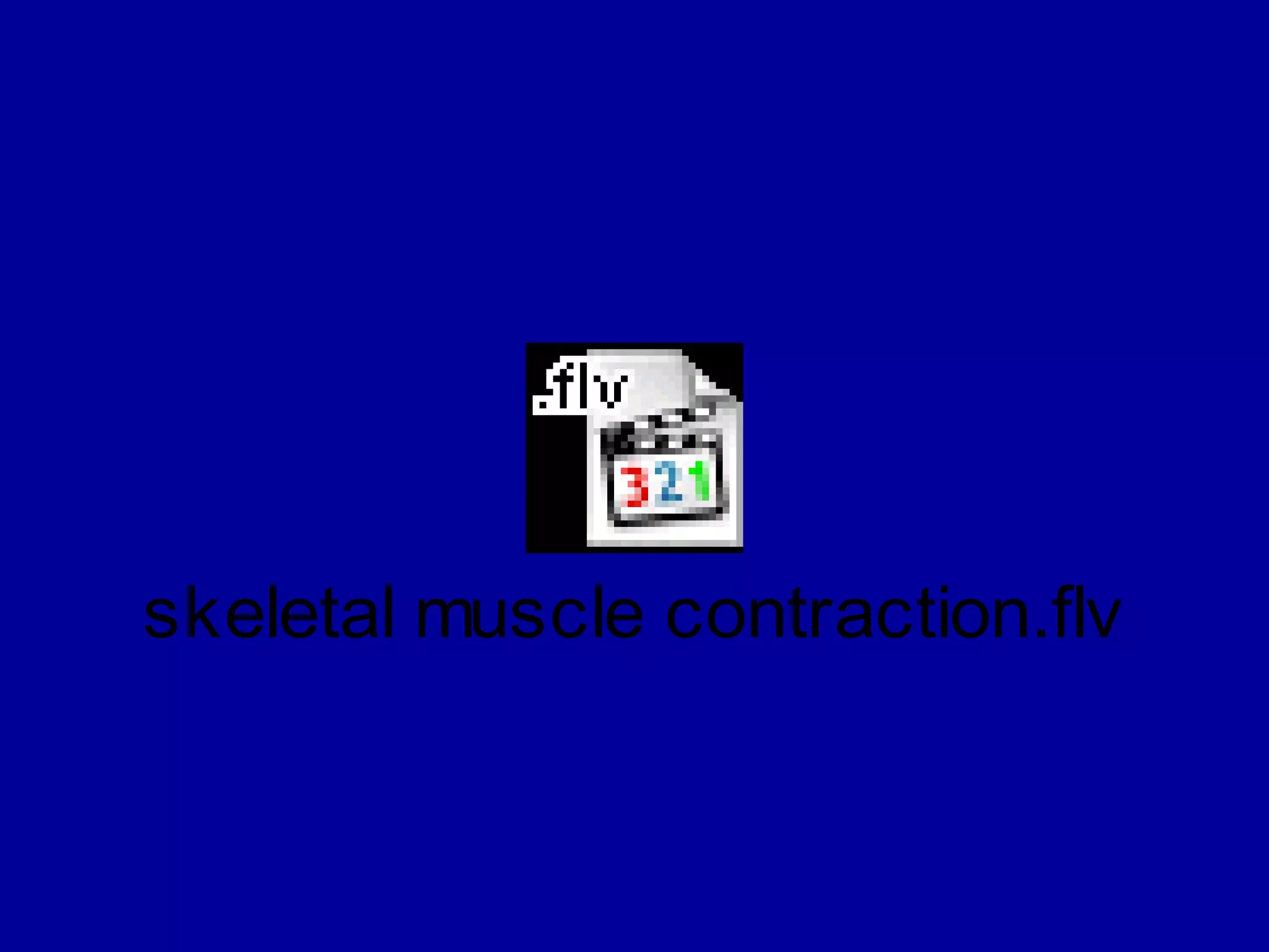 skeletal muscle contraction.flv
 