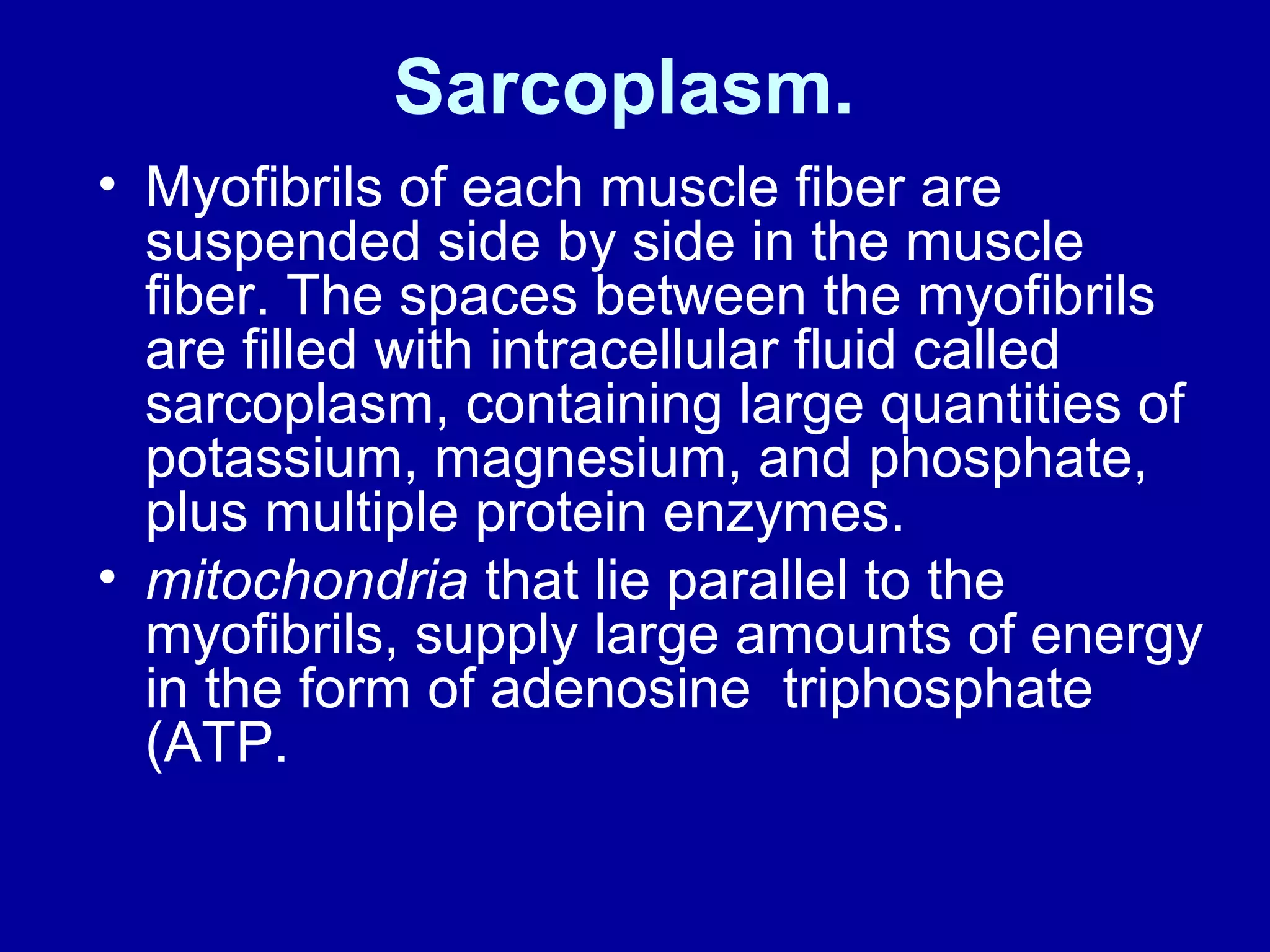 Sarcoplasm.
• Myofibrils of each muscle fiber are
suspended side by side in the muscle
fiber. The spaces between the myofibrils
are filled with intracellular fluid called
sarcoplasm, containing large quantities of
potassium, magnesium, and phosphate,
plus multiple protein enzymes.
• mitochondria that lie parallel to the
myofibrils, supply large amounts of energy
in the form of adenosine triphosphate
(ATP.
 