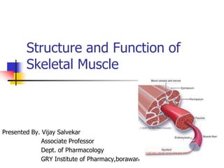 Structure and Function of
Skeletal Muscle
Presented By. Vijay Salvekar
Associate Professor
Dept. of Pharmacology
GRY Institute of Pharmacy,borawan
 