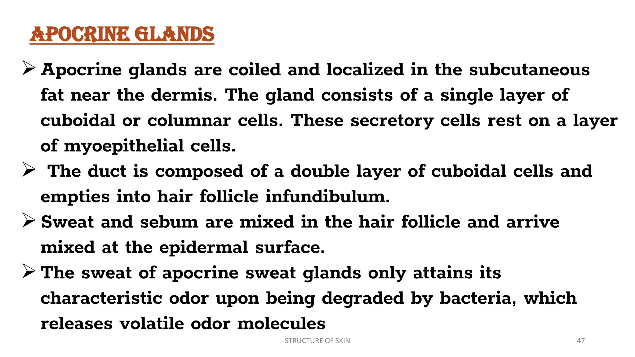 Structure of Skin | Layers of Skin | PDF