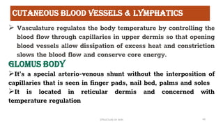 Structure of Skin | Layers of Skin | PDF