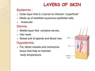 Structure of skin and skin relating problems | PDF