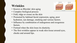 Static Rhytides Structure of skin in various relating problems | PPTX