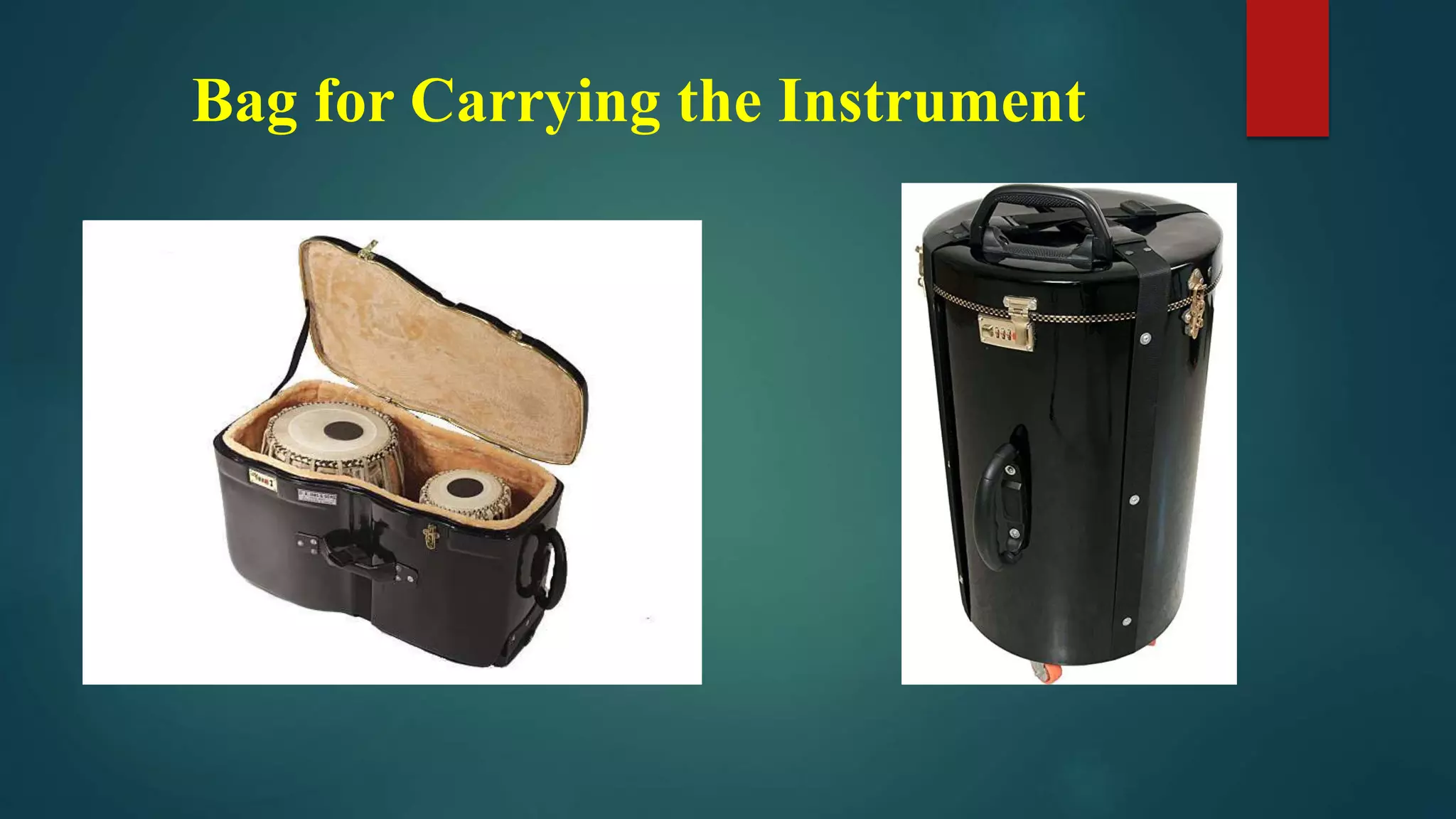 Bag for Carrying the Instrument