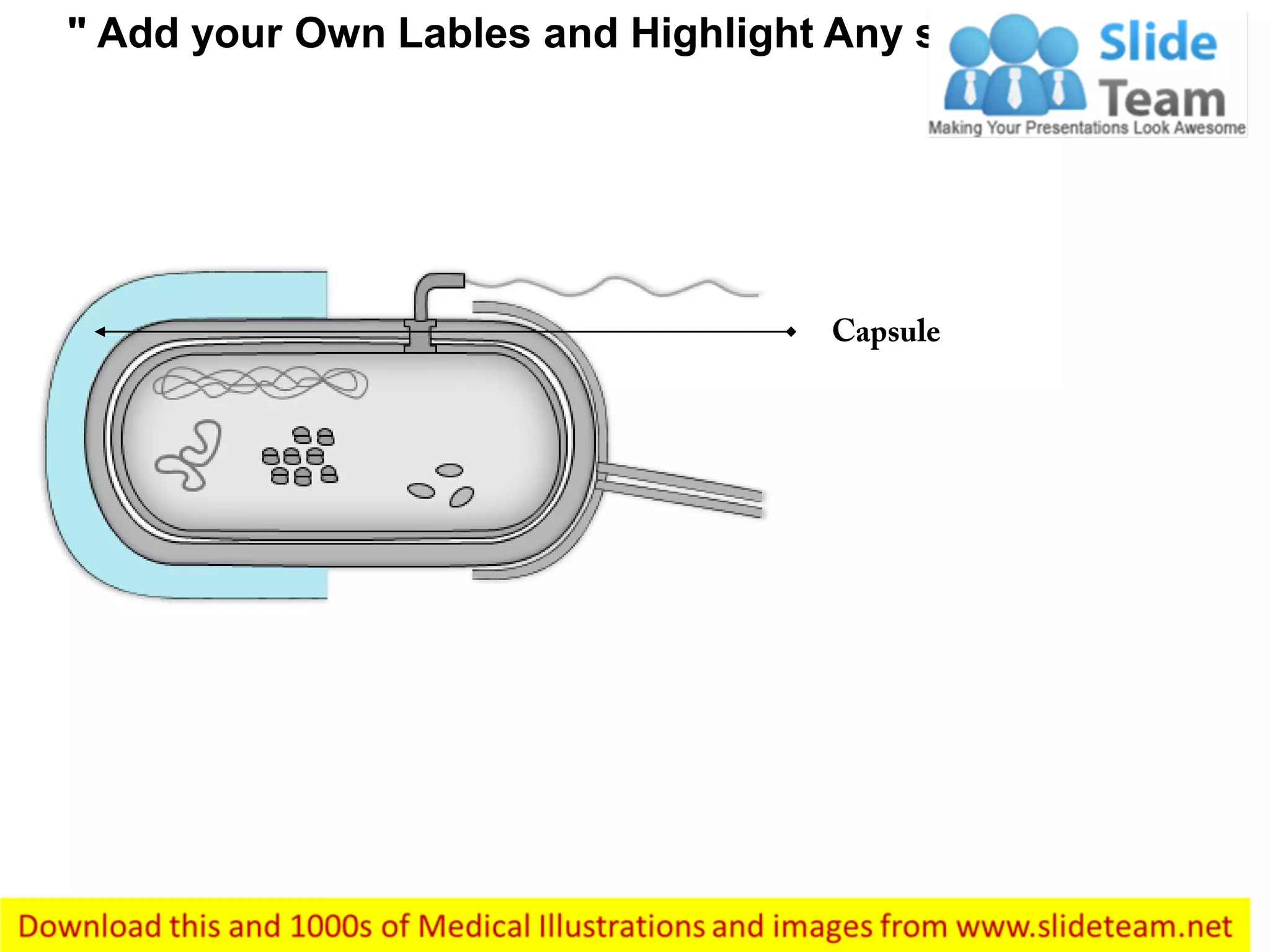 " Add your Own Lables and Highlight Any section"
 