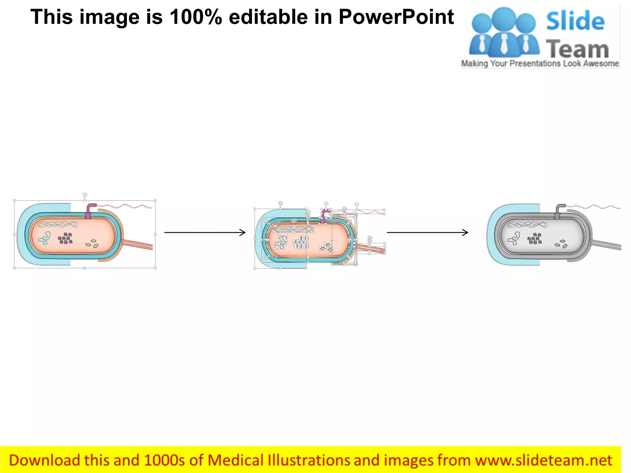 This image is 100% editable in PowerPoint
 