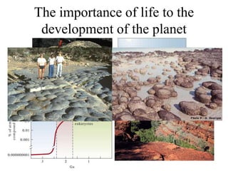 The importance of life to the
development of the planet
 