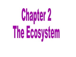Chapter 2 The Ecosystem 