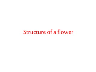 Structure of a flower
 