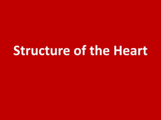 Structure of the Heart
 