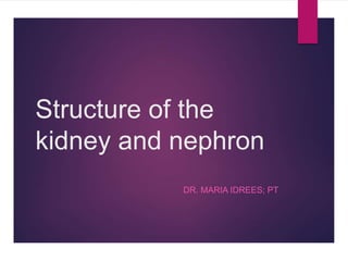 Structure of the
kidney and nephron
DR. MARIA IDREES; PT
 