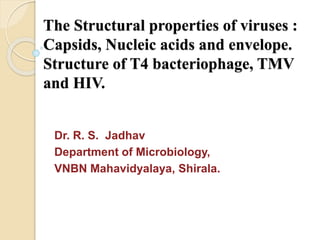 The Structural properties of viruses :
Capsids, Nucleic acids and envelope.
Structure of T4 bacteriophage, TMV
and HIV.
Dr. R. S. Jadhav
Department of Microbiology,
VNBN Mahavidyalaya, Shirala.
 