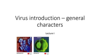 Structure of viruses | PPTX