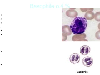 Structure of wbcs | PPT