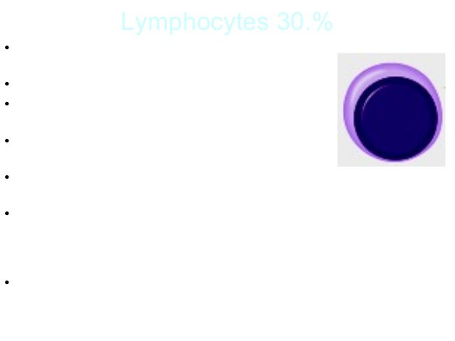 The Cytoplasm Is A Thin Ring Around The Nucleus The Cytoplasm Is A Thin Ring Around The Nucleus
