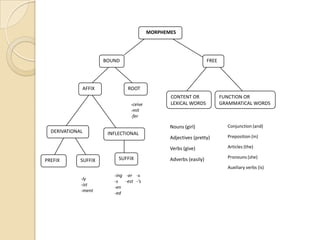MORPHEMES
BOUND FREE
FUNCTION OR
GRAMMATICAL WORDS
CONTENT OR
LEXICAL WORDS
ROOTAFFIX
DERIVATIONAL INFLECTIONAL
PREFIX SUFFIX SUFFIX
Conjunction (and)
Preposition (in)
Articles (the)
Pronouns (she)
Auxiliary verbs (is)
Nouns (girl)
Adjectives (pretty)
Verbs (give)
Adverbs (easily)
-ceive
-mit
-fer
pre -
un -
con-
-ly
-ist
-ment
-ing -er -s
-s -est -‘s
-en
-ed
 