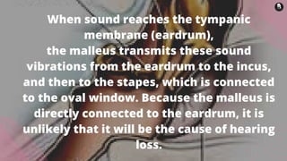 When sound reaches the tympanic
membrane (eardrum),
the malleus transmits these sound
vibrations from the eardrum to the incus,
and then to the stapes, which is connected
to the oval window. Because the malleus is
directly connected to the eardrum, it is
unlikely that it will be the cause of hearing
loss.
 