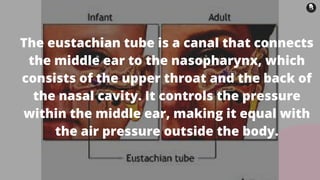 The eustachian tube is a canal that connects
the middle ear to the nasopharynx, which
consists of the upper throat and the back of
the nasal cavity. It controls the pressure
within the middle ear, making it equal with
the air pressure outside the body.
 